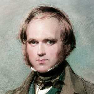 Darwin’s portrait by Richmond